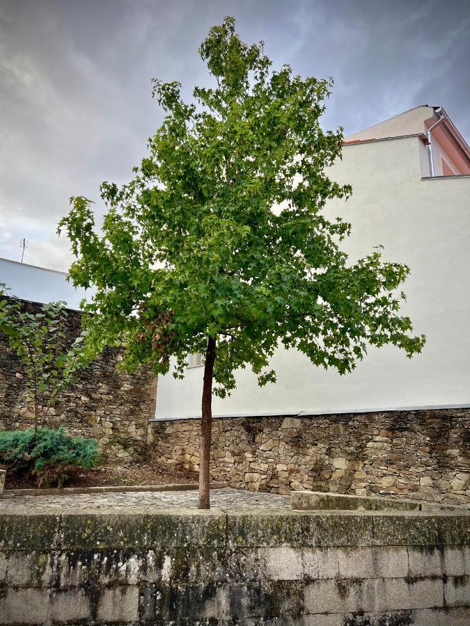 Cantinho Do Castelo Bragança Exteriör bild